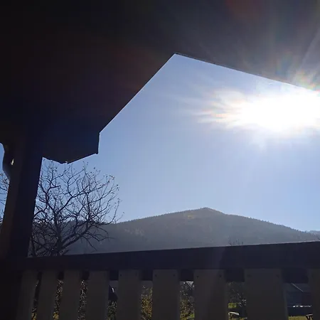 галерея карпат *