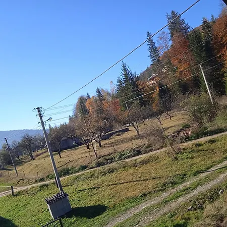 галерея карпат Mykulychyn