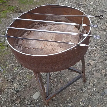 галерея карпат Сasa de vacaciones Mykulychyn