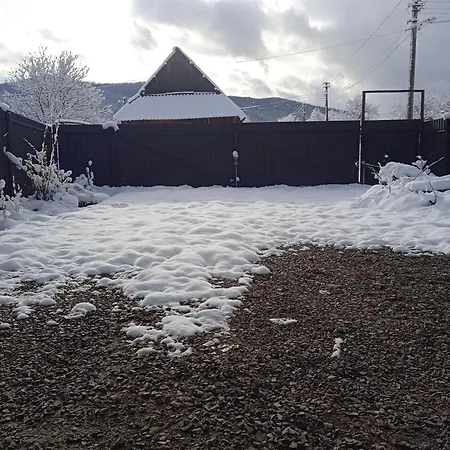 Сasa de vacaciones галерея карпат *