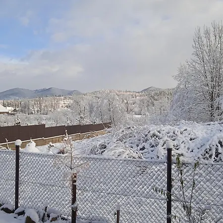 галерея карпат *