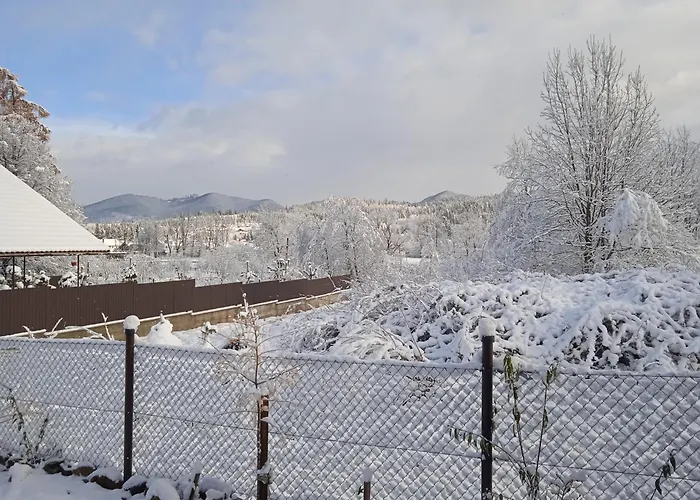 галерея карпат *