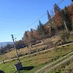 галерея карпат Mykulychyn