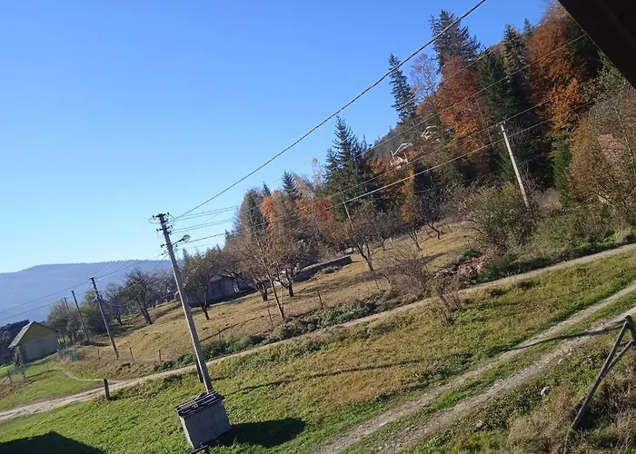 галерея карпат 米库利钦